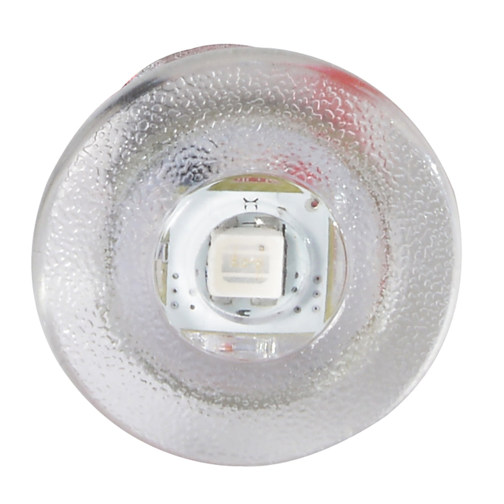 Lumitec Newt  Livewell  Courtesy Light  Warm White NonDimming 101240